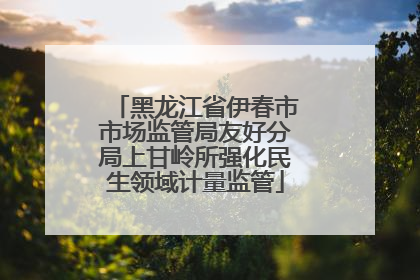 黑龙江省伊春市市场监管局友好分局上甘岭所强化民生领域计量监管